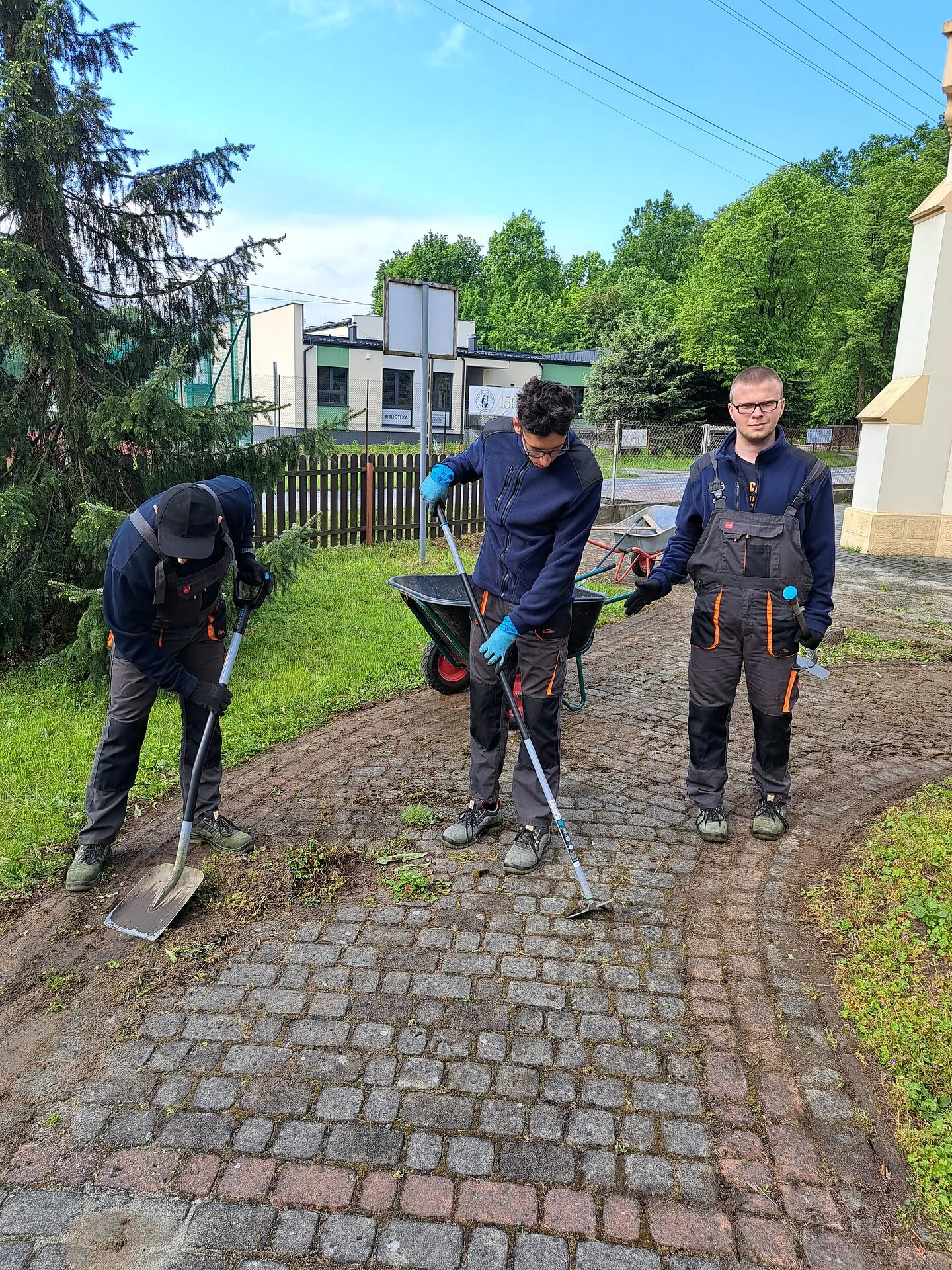 Pracownia Ogrodniczo-Porządkowa — zdjęcie 9