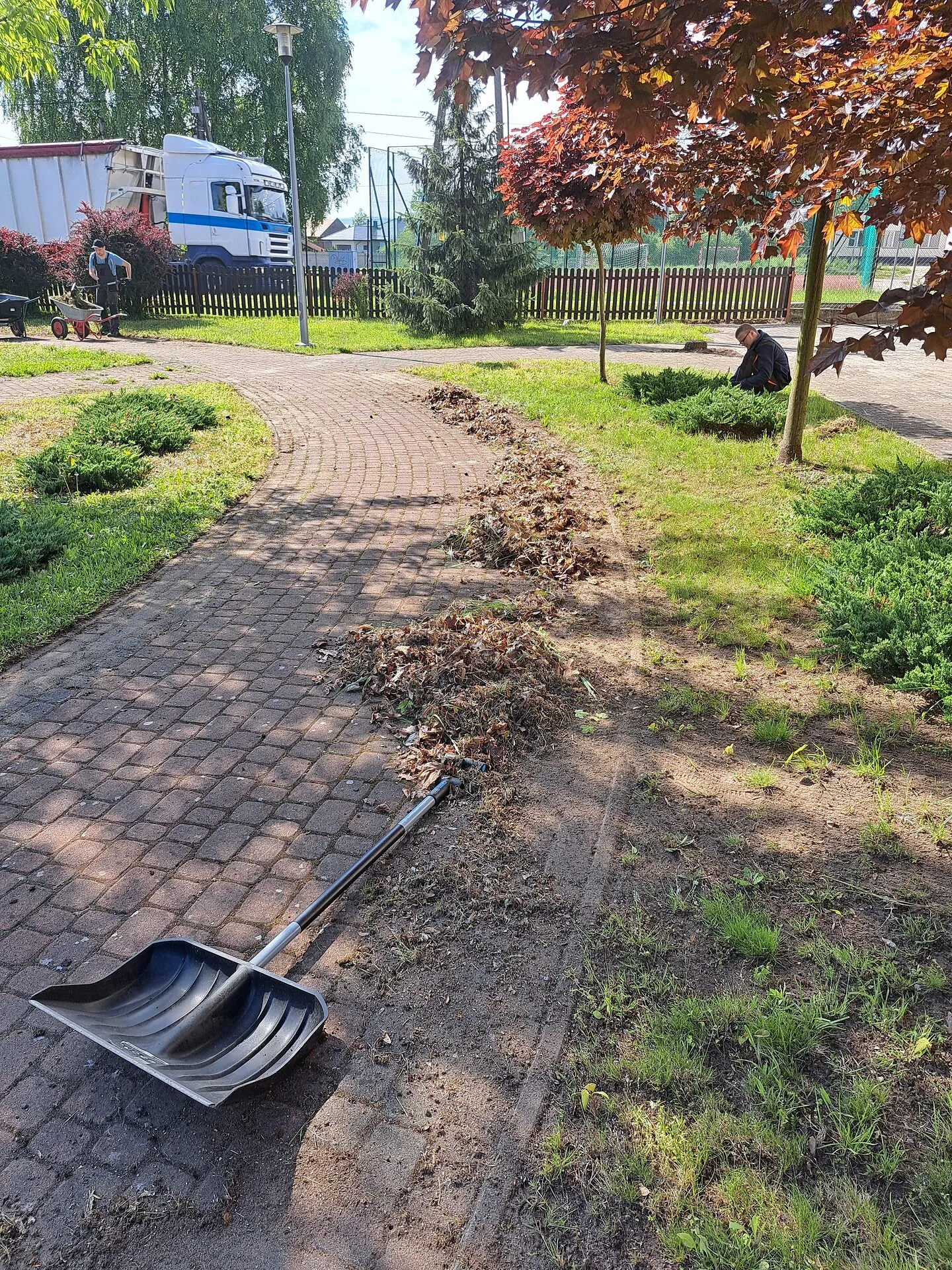 Pracownia Ogrodniczo-Porządkowa — zdjęcie 10